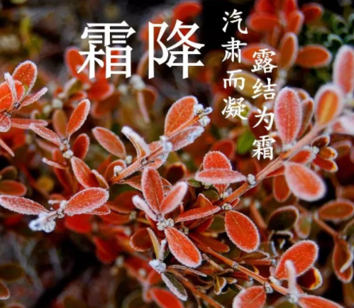 霜降说说配图