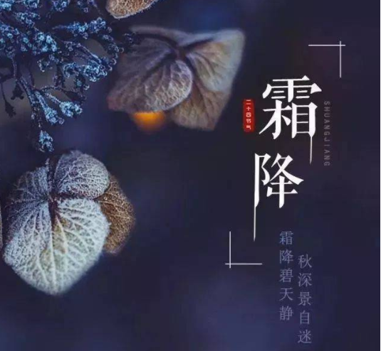 霜降说说配图
