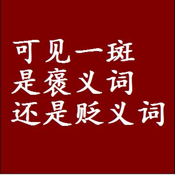 可见一斑是褒义词还是贬义词还是中性词，是什么意思