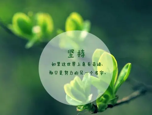 一句很现实的短句子