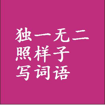 独一无二照样子写词语
