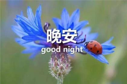 经典励志短语大全 初三中考励志语录