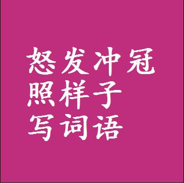 怒发冲冠照样子写词语，意思相同结构类似的四字词语