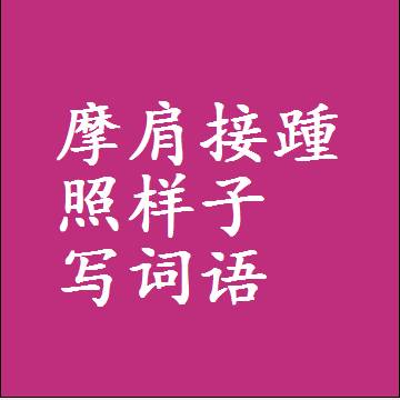摩肩接踵照样子写词语和成语