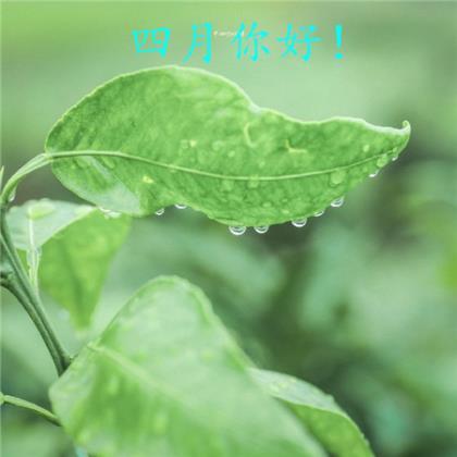 早安励志说说正能量 励志图片加说说带图片