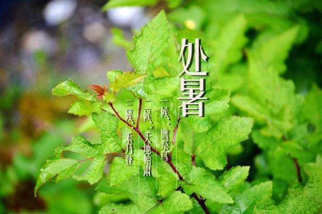 关于处暑的图片 处暑发朋友圈句子