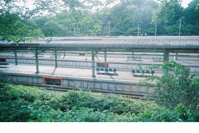 朋友圈早安正能量句子 2022适合雨天发朋友圈的短句