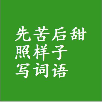 先苦后甜照样子写词语