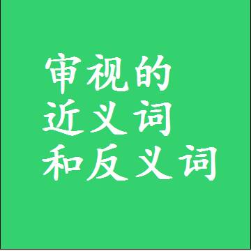 审视的近义词和反义词最佳标准答案