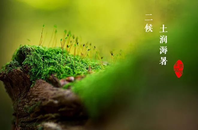 大暑的经典祝福语文案 大暑发给客户的问候语