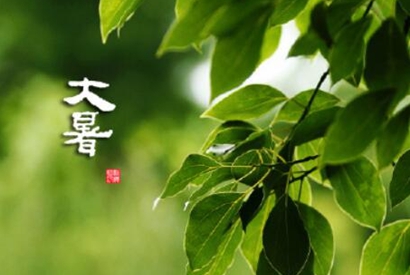 大暑的经典祝福语文案 大暑发给客户的问候语