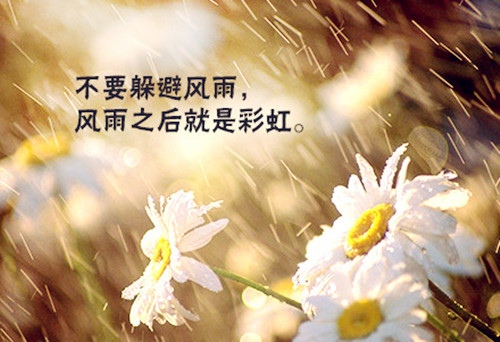 正能量励志语言早晨问候语(43句)