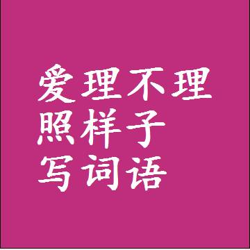 爱理不理照样子写词语和成语