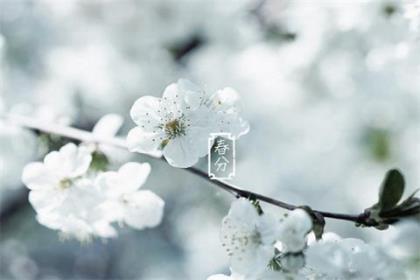 个性签名设计 旧日舜我神常，神逆我叫它死