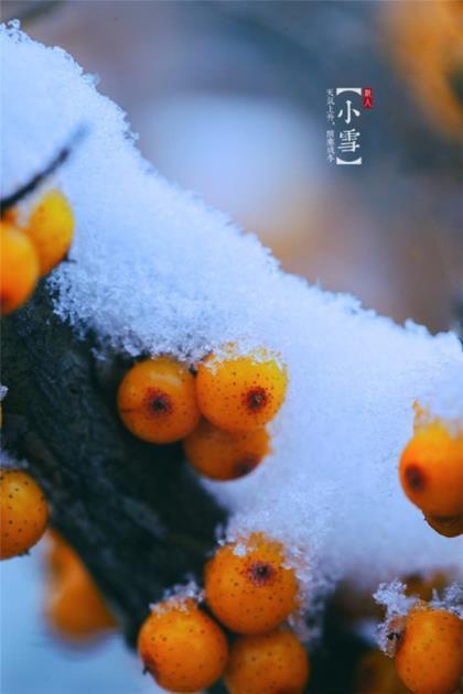 我命由我不由天图片 抗击疫情励志说说