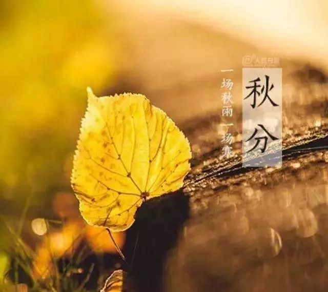 秋分发朋友圈说说