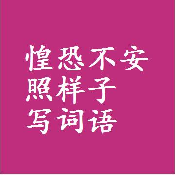 惶恐不安照样子写词语