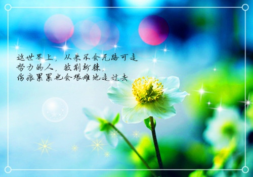 道歉的话给女朋友搞笑的话(41句)