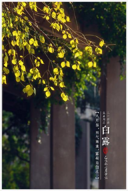 关于形容老师的句子