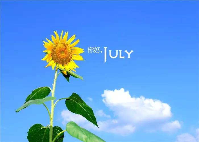 秋天拍的照片怎么发说说