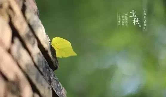 立秋发朋友圈的文案