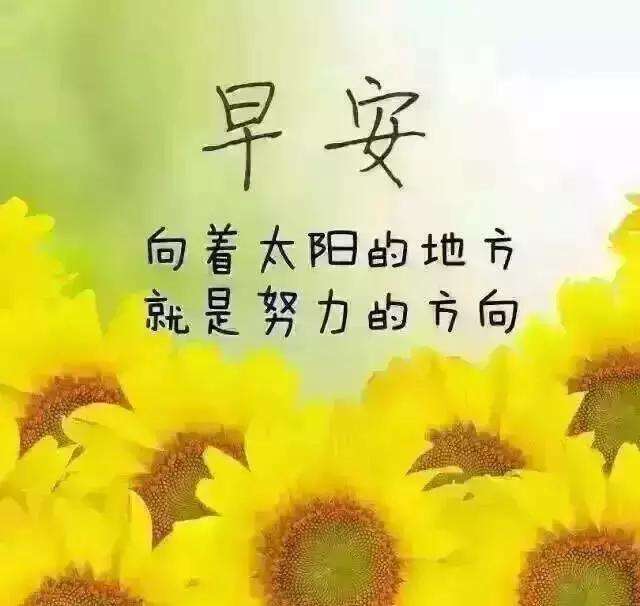 激励自己努力工作的句子