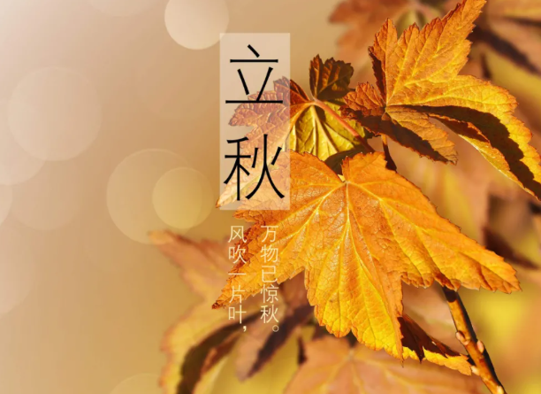 秋天发的朋友圈文案