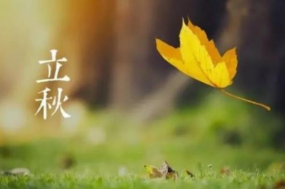 秋天发的朋友圈文案