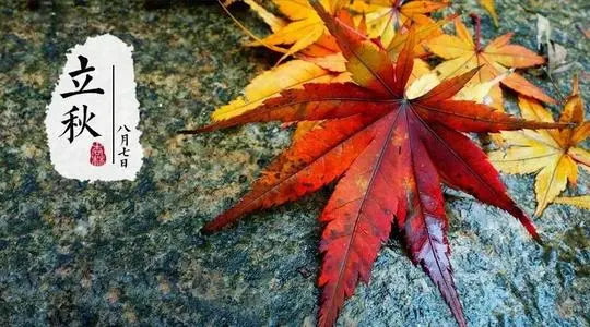 100句立秋文案 立秋说说朋友圈
