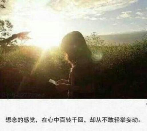 李诞经典语录短句 幽默经典句子