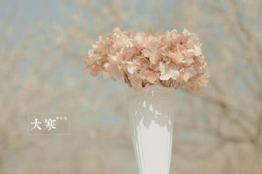 发朋友圈的晚安句子可爱 朋友圈晚安的句子配图