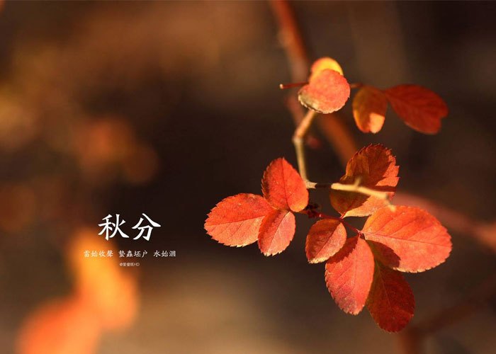 秋分发朋友圈的句子