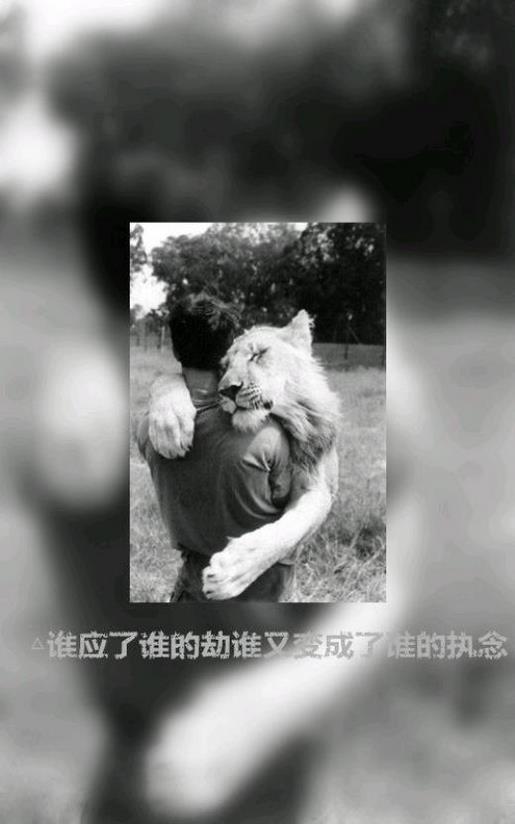 高考加油励志文艺短句 2020年励志的句子