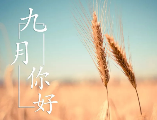 九月你好的唯美图片