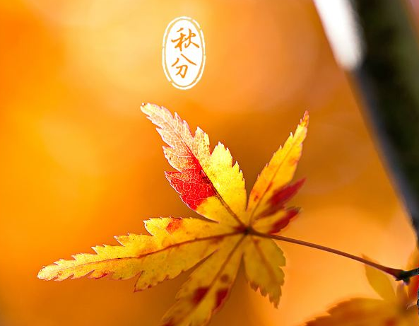 秋分走心文案 秋分发朋友圈的句子
