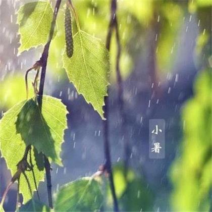 关于下雨的说说伤感