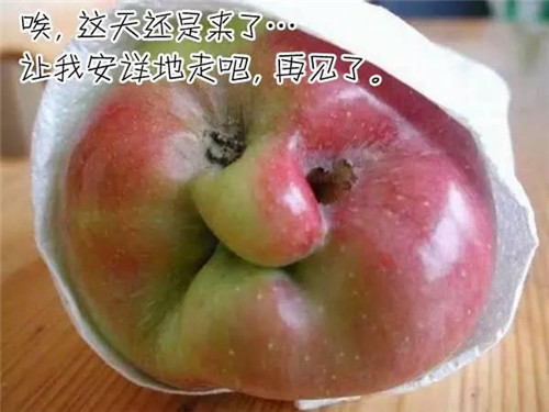 北京的交通差点饿死人 百里挑一超经典搞笑说说汇总39句