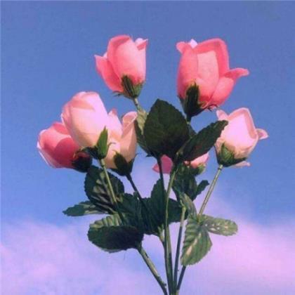 端午节的主题画画 一年级看图写话端午节包粽子
