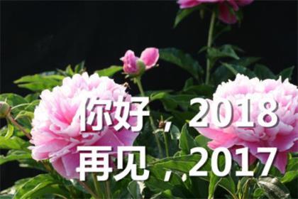 微商女人励志创业句子