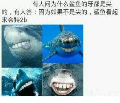 微商女人励志创业句子