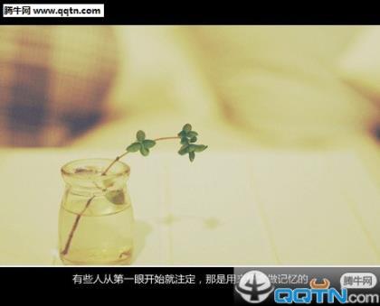 早安正能量语录带图片 阳光正能量励志语录
