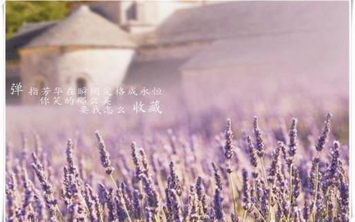 家庭生活感悟经典句子
