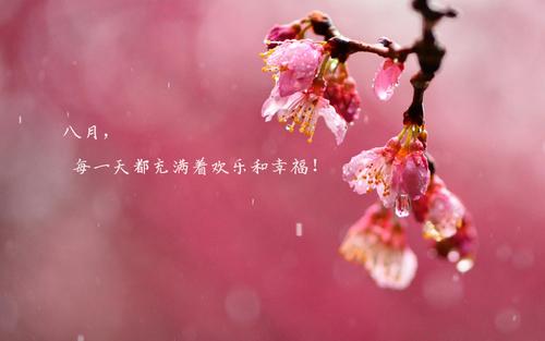 八月的句子短句唯美收录28句