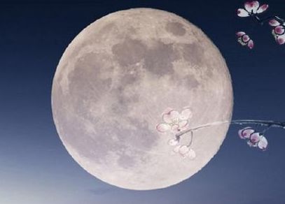 一个人的中秋节说说心酸伤感 2021最新中秋节伤感说说