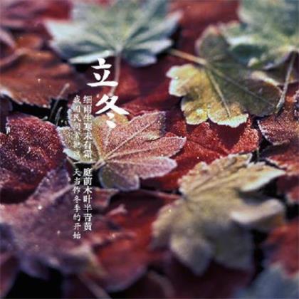 关于因果的名句