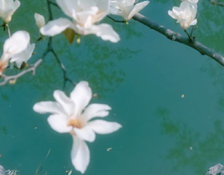 很舒心清爽适合夏季的微信签名 很舒心淡雅的微信签名合集31句