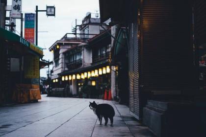 微信说说人生感悟句子