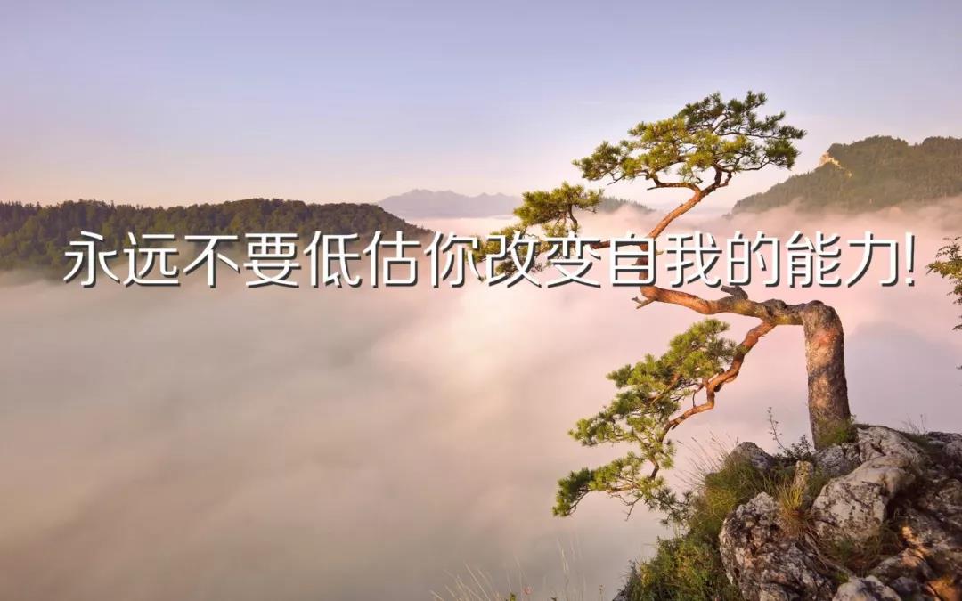 充满正能量的经典话语