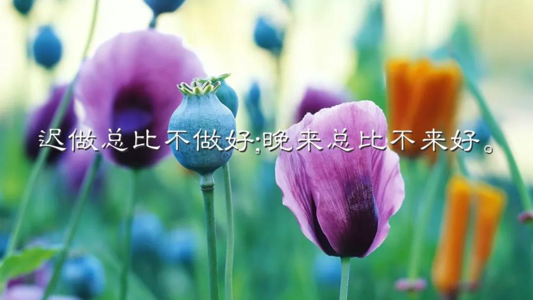 充满正能量的经典话语