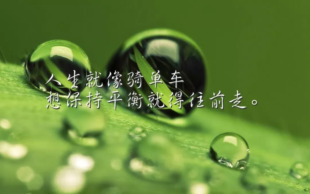充满正能量的经典话语